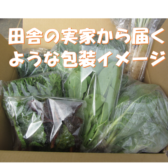 すっかり春だね　春野菜詰め合わせ　８０サイズ　４月２６日以降の発送 食品/飲料/酒の食品(野菜)の商品写真