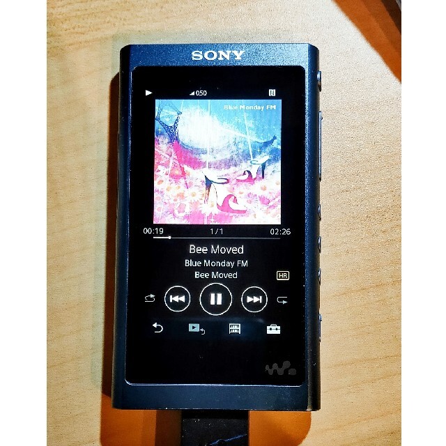 SONY　ウォークマン　NW-A55HN