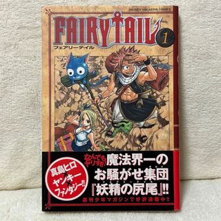 コウダンシャ(講談社)のFAIRY TAIL 6冊セット　真島ヒロ(少年漫画)