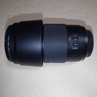 パナソニック(Panasonic)のLUMIX G VARIO 1:4.0-5.6/100-300 POWER…(レンズ(ズーム))