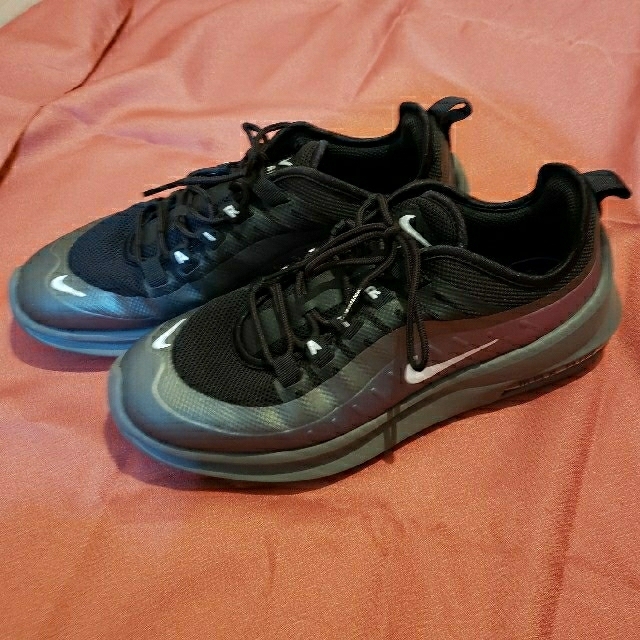 MAX AIR 　NIKE　25.5cm