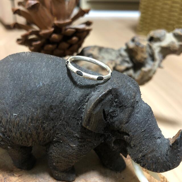 チャイハネ(チャイハネ)の象の毛　リング レディースのアクセサリー(リング(指輪))の商品写真