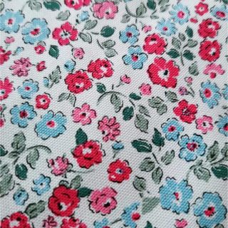 キャスキッドソン(Cath Kidston)の【新入荷】キャスキッドソン 可愛い小花 (水色)帆布生地 140cm×100cm(生地/糸)