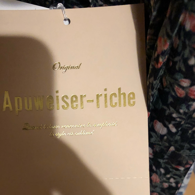 Apuweiser-riche(アプワイザーリッシェ)のアプワイザーリッシェ　洗えるプリーツティアードワンピース　タグ付新品 レディースのワンピース(ひざ丈ワンピース)の商品写真