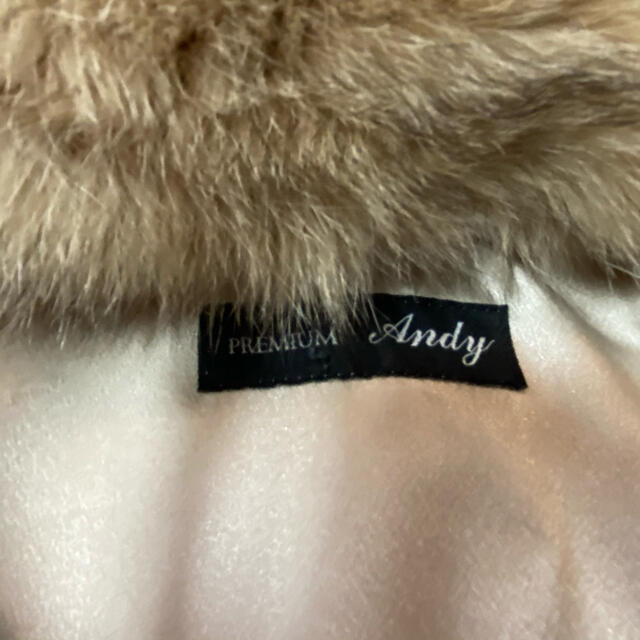 Andy(アンディ)のレックス毛皮✩.*˚美品 レディースのジャケット/アウター(毛皮/ファーコート)の商品写真