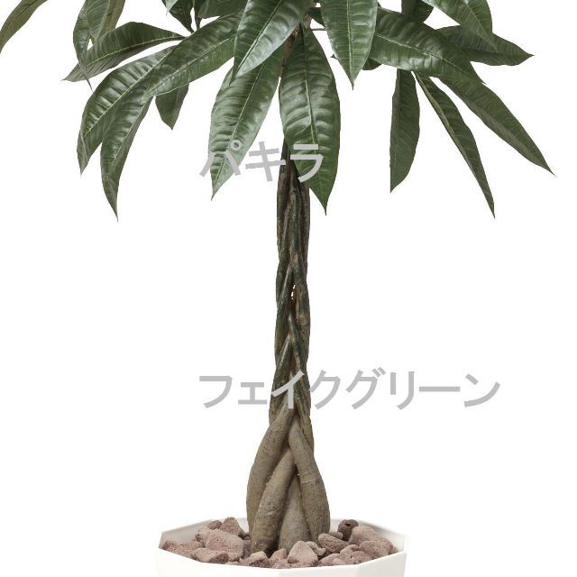 ◇日本製◇◇フェイクグリーン 光の楽園 光触媒 パキラ1.25mの通販 by