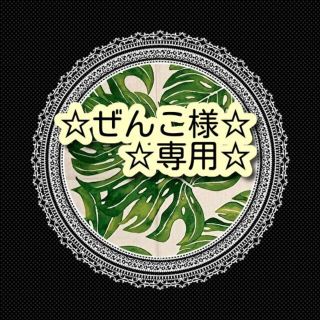 ☆ぜんこ様☆専用☆(バッグ)