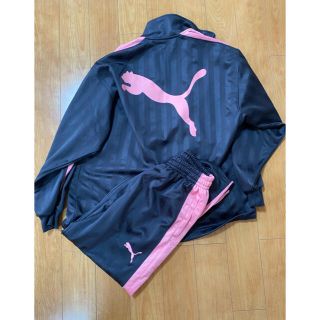 プーマ(PUMA)のジャージ　上下　(ジャージ)