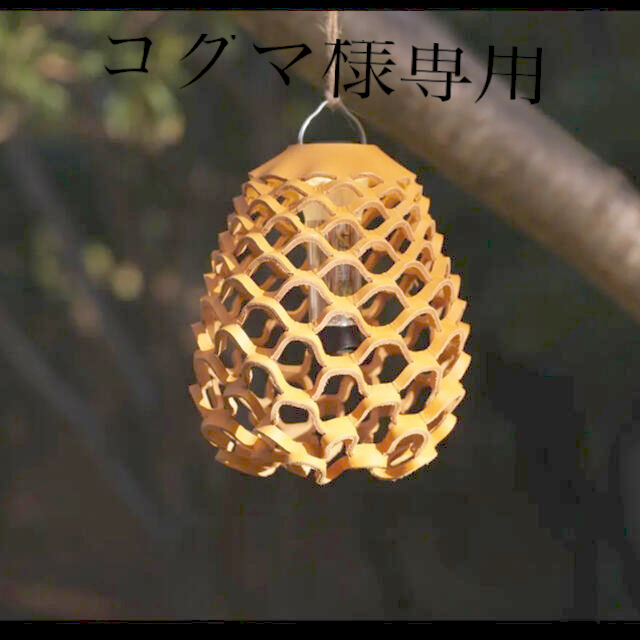 キヌガサシェードキャメル