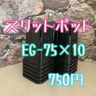 ◎10個◎ロング スリットポット EG-75L slitpot プラ鉢(プランター)