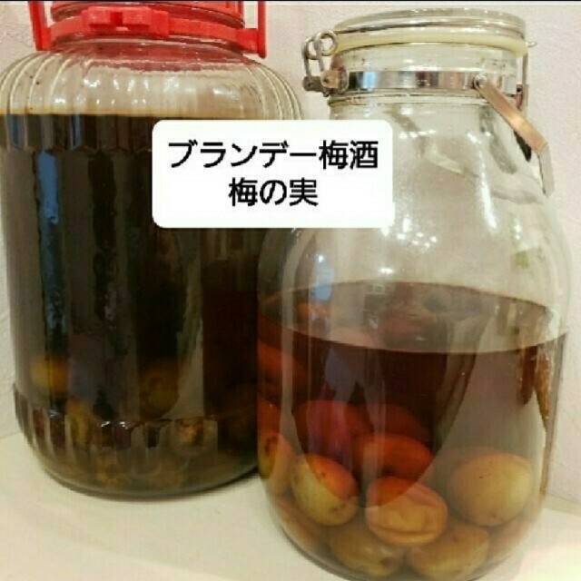 ✧˖°⌖みみ様専用✧˖°⌖ブランデー梅酒 梅の実【南高梅】 食品/飲料/酒の食品(フルーツ)の商品写真