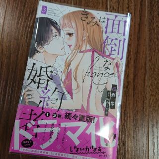 ハクセンシャ(白泉社)のきみは面倒な婚約者  漫画  3巻(女性漫画)