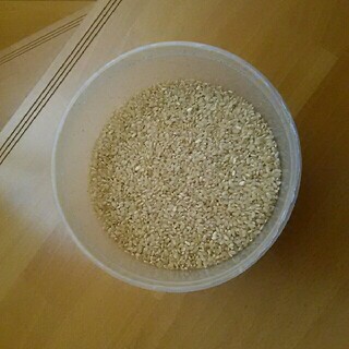 玄米(米/穀物)
