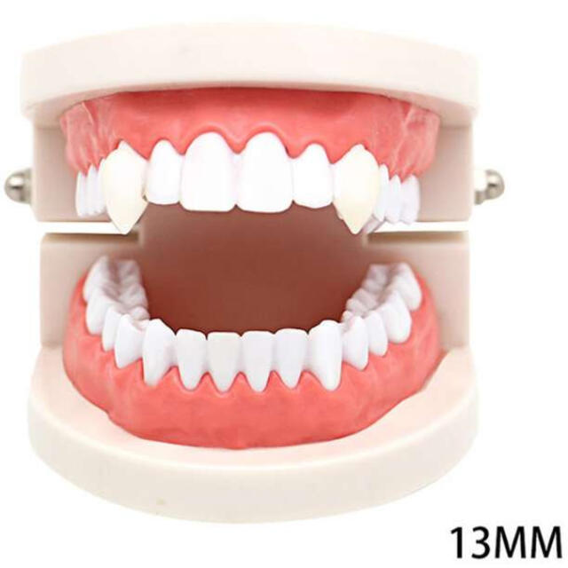 おまけ付!! 13mm つけ牙 付け牙 八重歯 キバ ハロウィン ハローウィン  エンタメ/ホビーのコスプレ(衣装一式)の商品写真