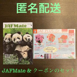 スカイラーク(すかいらーく)のJAF  Mate クーポン　割引券（一式セット）(レストラン/食事券)