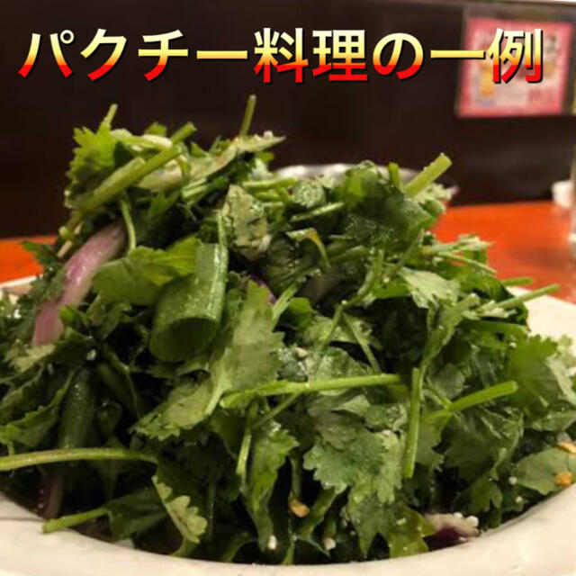 愛知県産　新鮮パクチー(香菜) 食品/飲料/酒の食品(野菜)の商品写真