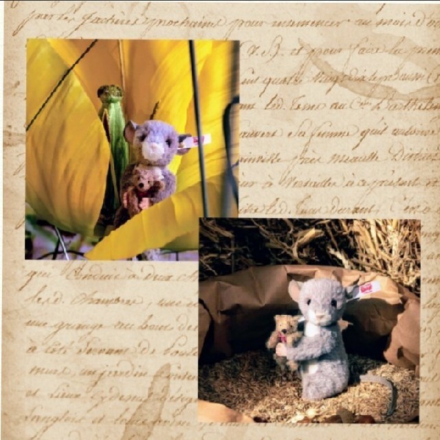 【限定品】　シュタイフ　マギーマウスとテディベア エンタメ/ホビーのおもちゃ/ぬいぐるみ(ぬいぐるみ)の商品写真
