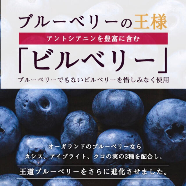 選んだのは王様ベリーでした ブルーベリー サプリ 3ヶ月分 食品/飲料/酒の健康食品(その他)の商品写真