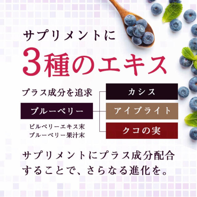 選んだのは王様ベリーでした ブルーベリー サプリ 3ヶ月分 食品/飲料/酒の健康食品(その他)の商品写真