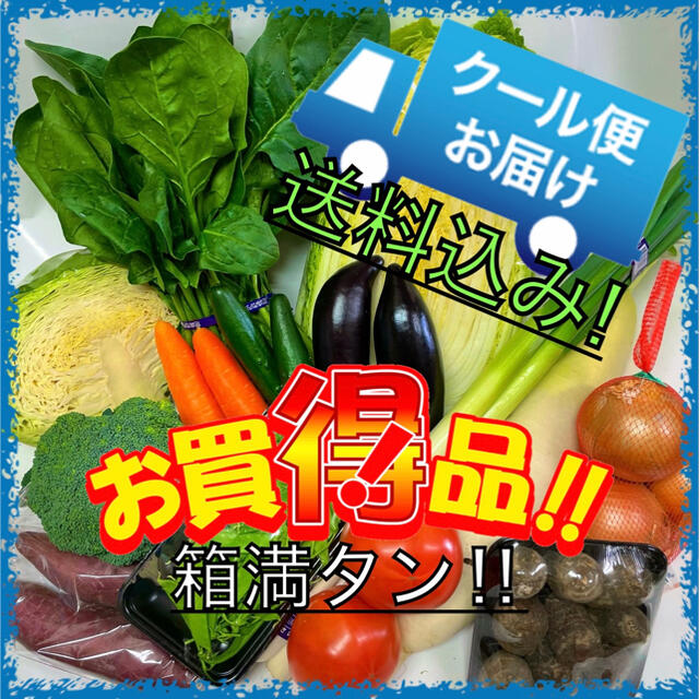 クール便配送‼️新鮮野菜詰め合わせ75サイズ箱満タン‼️ 食品/飲料/酒の食品(野菜)の商品写真