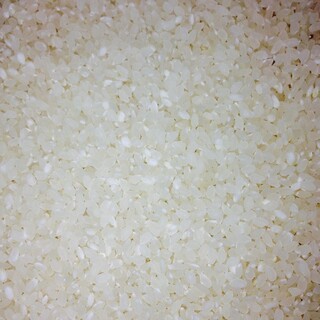 無洗米　(ブレンド米)　　　　10Kg(米/穀物)