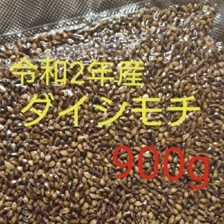 讃岐もち麦 ダイシモチ 玄麦(米/穀物)