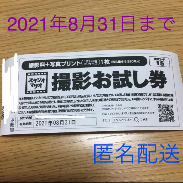 Kitamura(キタムラ)のカメラのキタムラ スタジオマリオ 撮影お試し券 5280円分 チケットの優待券/割引券(その他)の商品写真