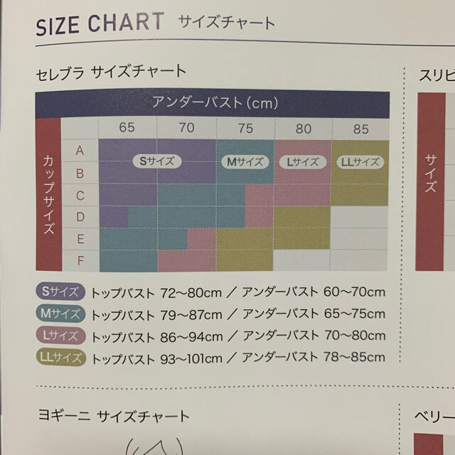 セレブラ　サムシングブルー　L レディースの下着/アンダーウェア(ブラ)の商品写真