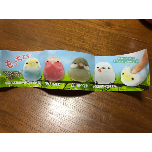 新品　もっちりあることり　モモイロインコ エンタメ/ホビーのおもちゃ/ぬいぐるみ(ぬいぐるみ)の商品写真