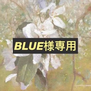 BLUE様専用(ぬいぐるみ/人形)