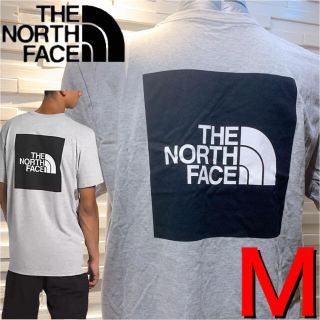 ザノースフェイス(THE NORTH FACE)のノースフェイス　THE NORTH FACE Tシャツ　メンズ　新品正規品M42(Tシャツ/カットソー(半袖/袖なし))