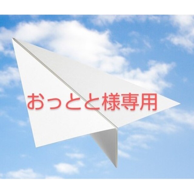 【おっとと様専用】ヴィレッジヴァンガードの株主優待券 24,000円分 チケットの優待券/割引券(ショッピング)の商品写真