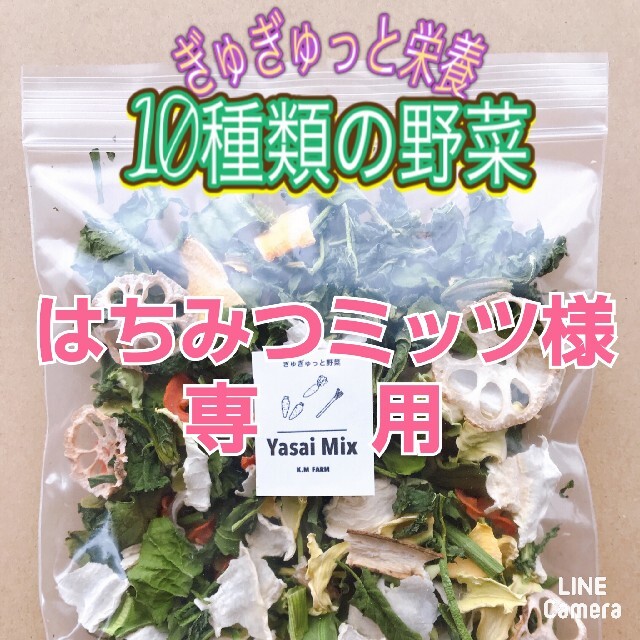 新鮮野菜【乾燥野菜10種類入り♪】農薬不使用 食品/飲料/酒の食品(野菜)の商品写真