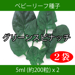 ベビーリーフ種子 B-39 グリーンスピナッチ 5ml 約200粒 x 2袋(野菜)