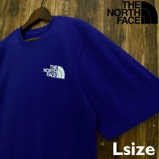 ザノースフェイス(THE NORTH FACE)の【USAモデル】THE NORTH FACE Tシャツ/T002L(Tシャツ/カットソー(半袖/袖なし))