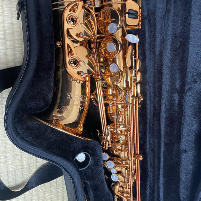 アンティグア　アルトサックス 楽器の管楽器(サックス)の商品写真