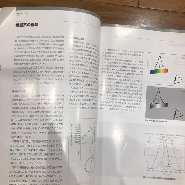 色彩検定対策テキスト ２級　A・F・T  文部科学省認定 エンタメ/ホビーの本(資格/検定)の商品写真