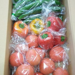 静岡県産野菜セット(トマト、胡瓜、パプリカ)(野菜)