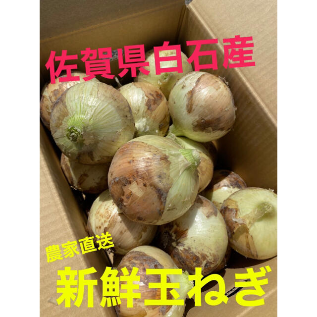 佐賀県白石産玉ねぎ 10kg 食品/飲料/酒の食品(野菜)の商品写真