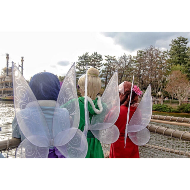Disney(ディズニー)のティンカーベル  妖精 羽 仮装 エンタメ/ホビーのコスプレ(衣装)の商品写真