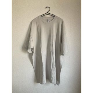 アメリカンアパレル(American Apparel)の専用(Tシャツ/カットソー(半袖/袖なし))