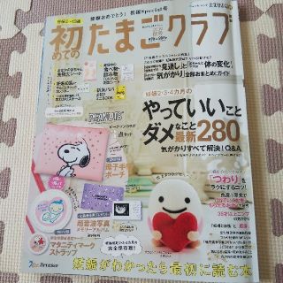 初めてのたまごクラブ 妊娠がわかったら最初に読む本(結婚/出産/子育て)