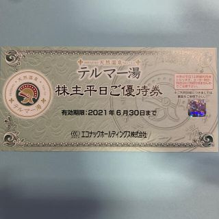エコナックホールディングス　株主優待券　テルマー湯(その他)