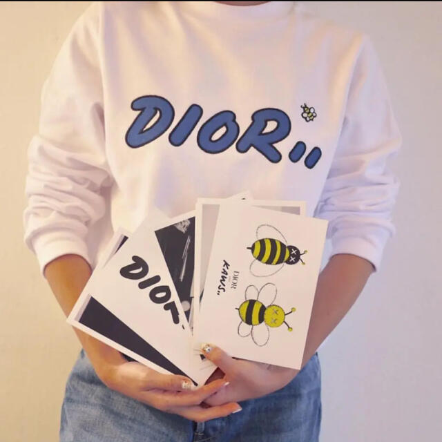 kaws × dior  コラボトレーナー  スウェット