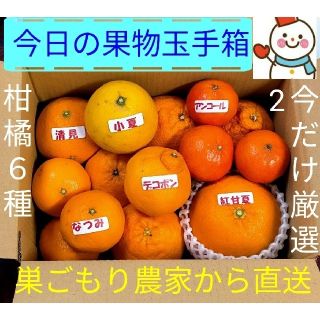 ライちゃん専用（東北）❗果物玉手箱♥旬の柑橘6種です♥巣ごもり農家雪だるまから(フルーツ)