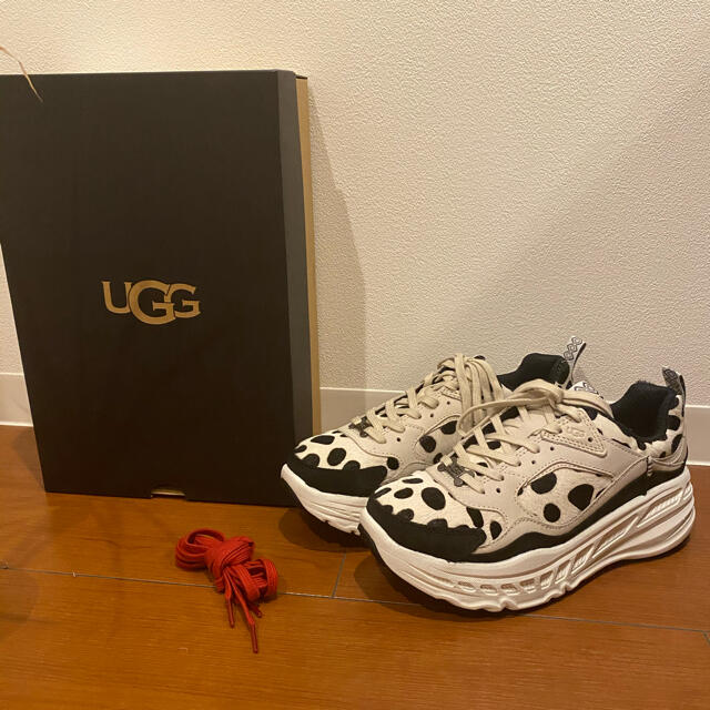 ugg M ca805 dalmatianレディース