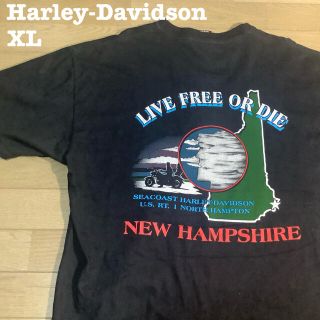 ハーレーダビッドソン(Harley Davidson)のHarley-Davidson  一点物　90’s ブラックTシャツ　XL(Tシャツ/カットソー(半袖/袖なし))