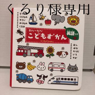 絵本　こどもずかん どうぶつ・くだもの・やさい・のりもの・くるま・むし(絵本/児童書)