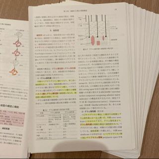 【裁断済み】獣医微生物学第4版
