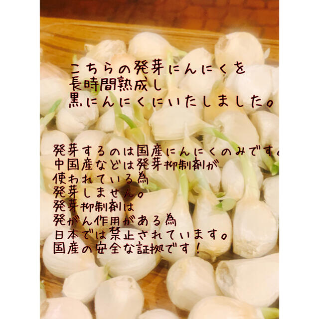国産発芽熟成黒ニンニク　青森県産福地ホワイト訳あり発芽黒にんにく1キロ  食品/飲料/酒の食品(野菜)の商品写真
